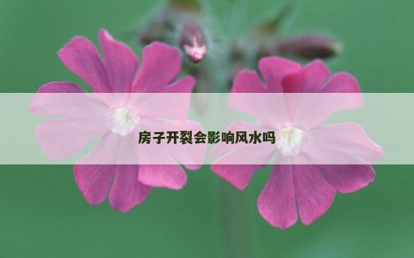 房子開裂會影響風水嗎