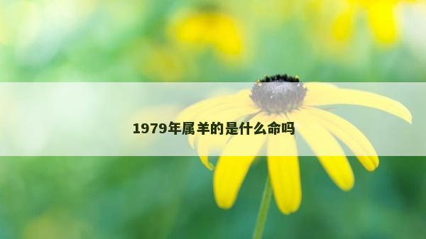 1979年屬羊的是什么命嗎