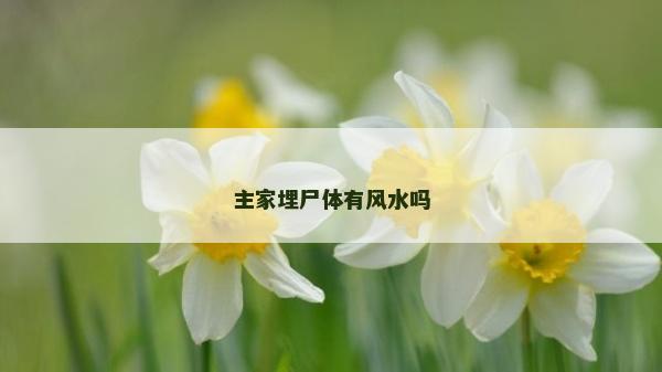 主家埋尸體有風水嗎
