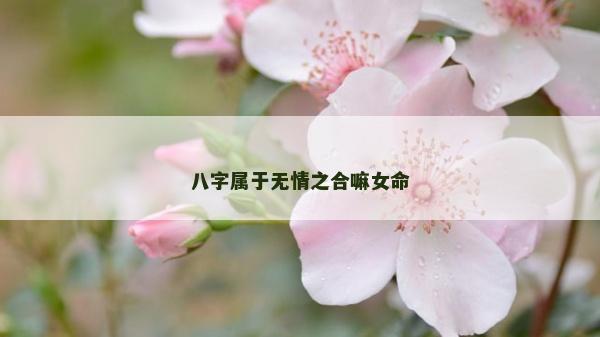 八字屬于無情之合嘛女命