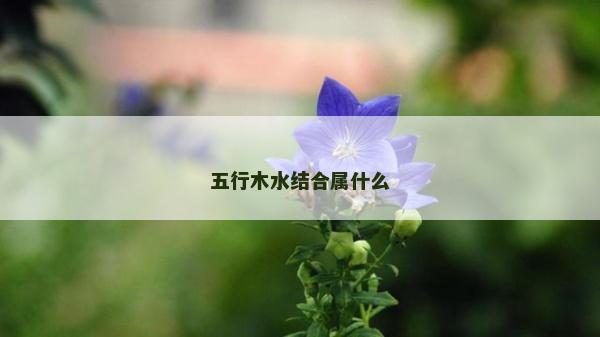 五行木水結(jié)合屬什么
