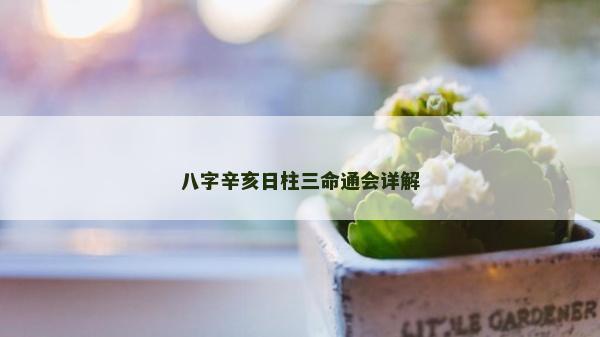八字辛亥日柱三命通會詳解