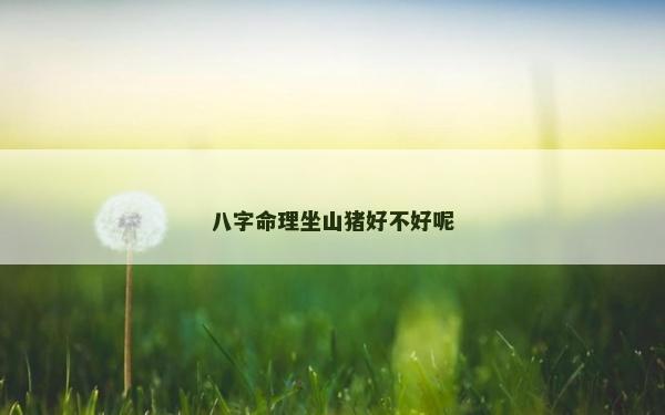 八字命理坐山豬好不好呢