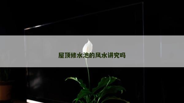 屋頂修水池的風水講究嗎