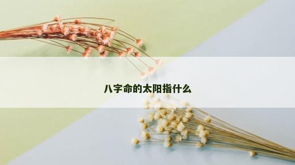 八字命的太陽指什么