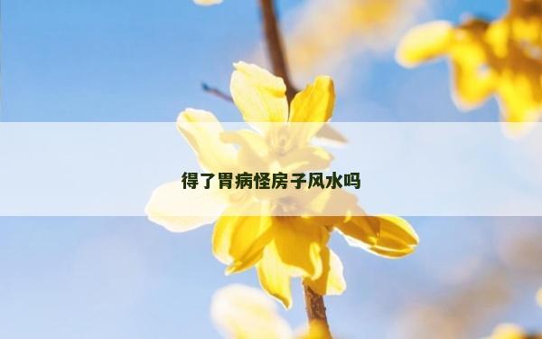 得了胃病怪房子風水嗎