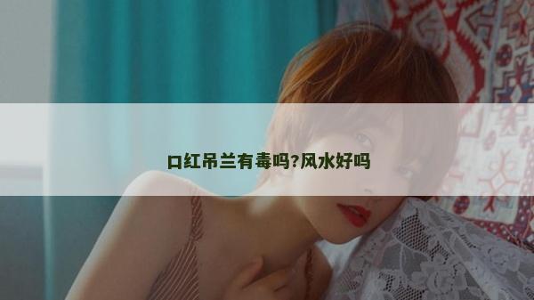 口紅吊蘭有毒嗎?風水好嗎