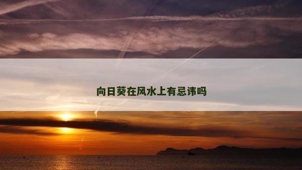 向日葵在風水上有忌諱嗎