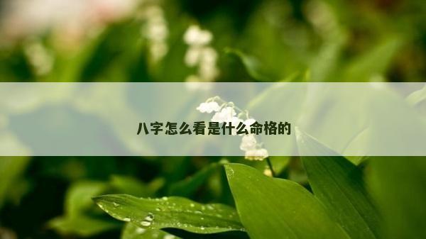 八字怎么看是什么命格的