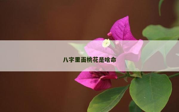 八字里面桃花是啥命