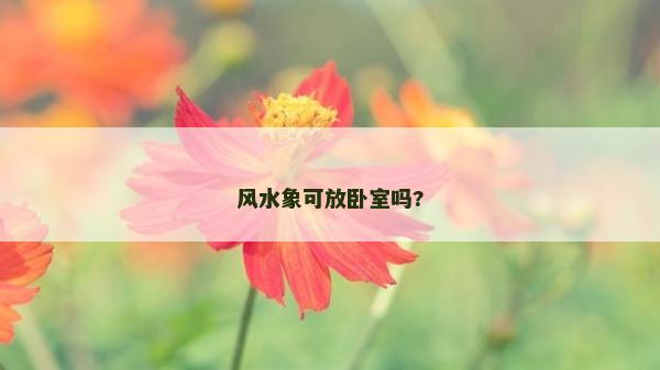 風水象可放臥室嗎?