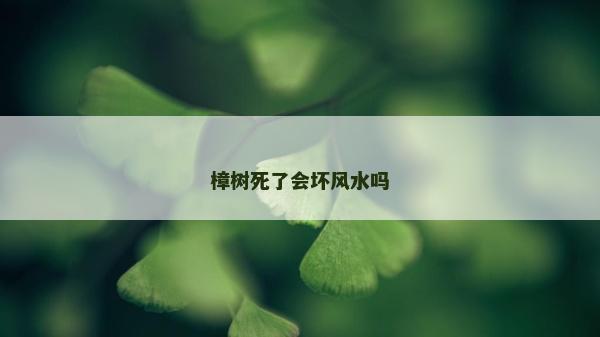 樟樹死了會壞風水嗎