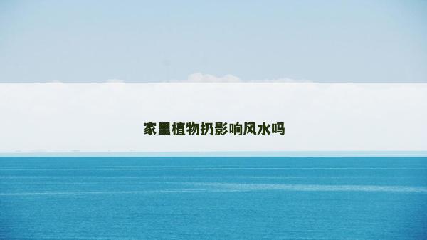 家里植物扔影響風水嗎