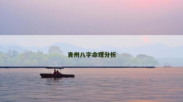 青州八字命理分析