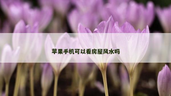 蘋果手機可以看房屋風水嗎