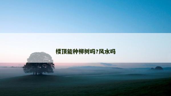 樓頂能種柳樹嗎?風水嗎