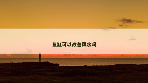 魚(yú)缸可以改善風(fēng)水嗎