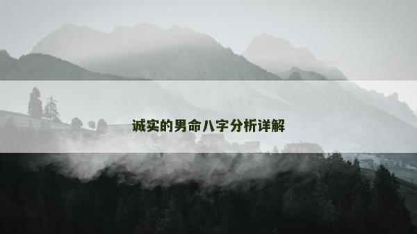 誠實的男命八字分析詳解