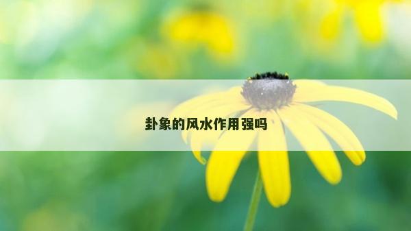 卦象的風(fēng)水作用強嗎