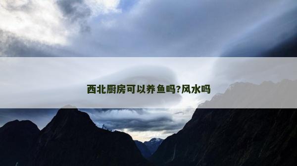 西北廚房可以養魚嗎?風水嗎 西北廚房可以養魚嗎?風水嗎