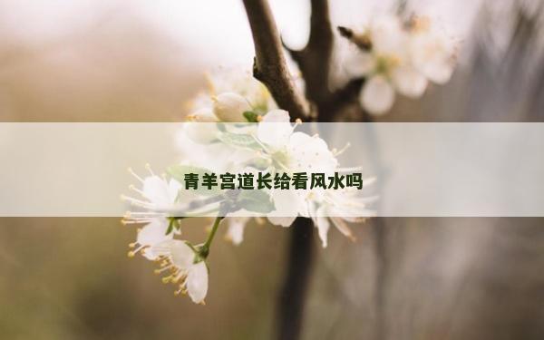 青羊宮道長給看風水嗎