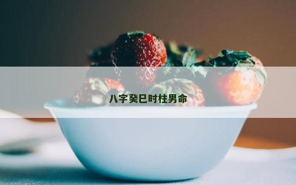 八字癸巳時柱男命