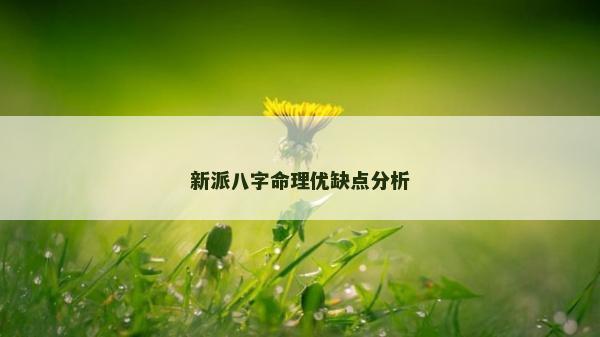 新派八字命理優缺點分析