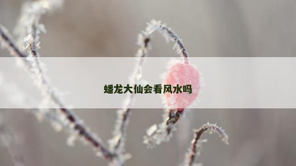 蟠龍大仙會看風水嗎 蟠龍大仙會看風水嗎