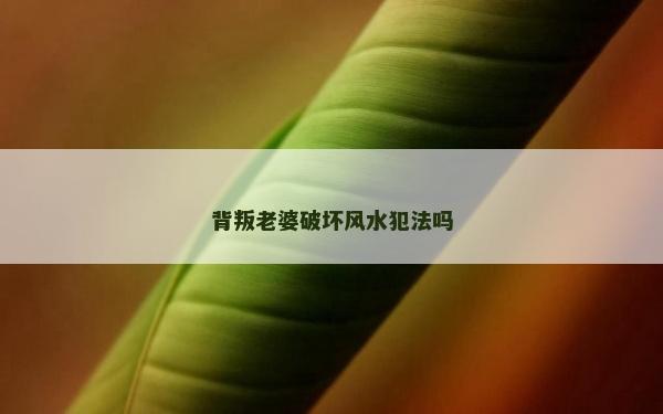 背叛老婆破壞風水犯法嗎
