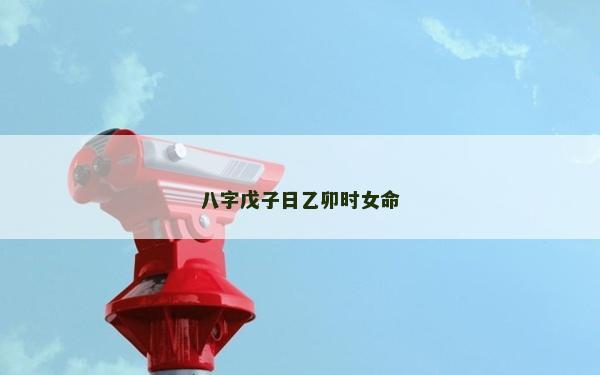 八字戊子日乙卯時女命