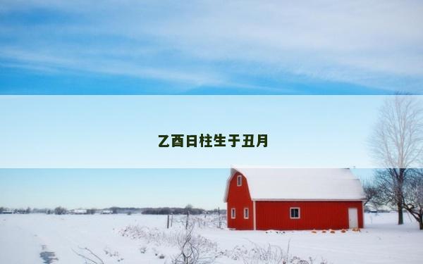 乙酉日柱生于丑月 乙酉日柱生于丑月