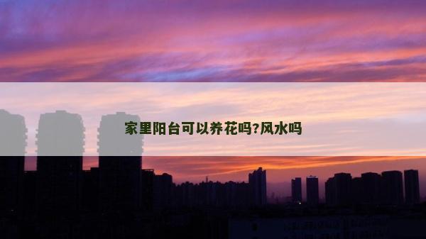 家里陽臺(tái)可以養(yǎng)花嗎?風(fēng)水嗎
