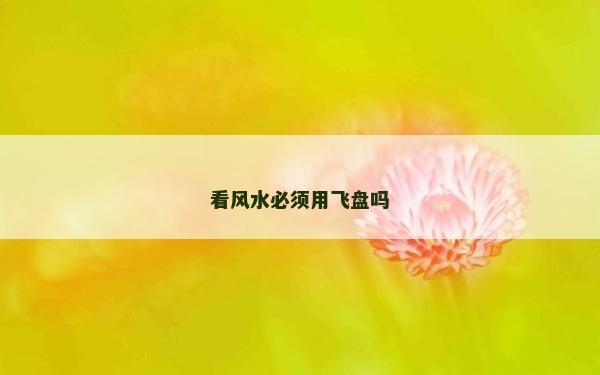 看風水必須用飛盤嗎