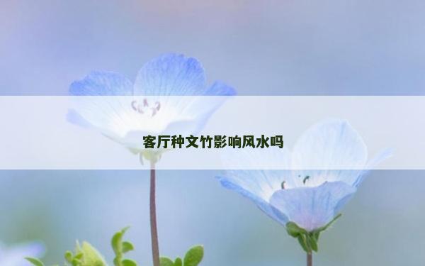 客廳種文竹影響風水嗎
