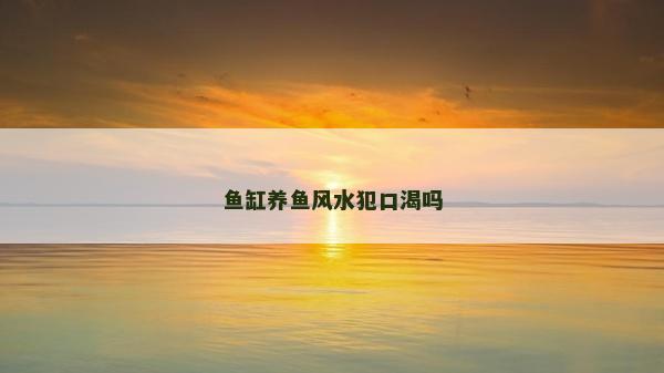 魚缸養(yǎng)魚風水犯口渴嗎