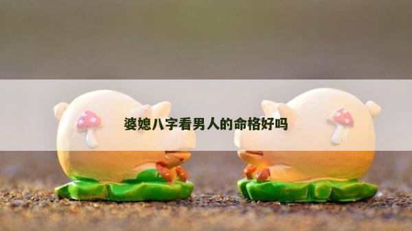 婆媳八字看男人的命格好嗎