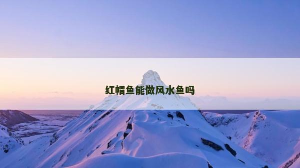 紅帽魚能做風(fēng)水魚嗎