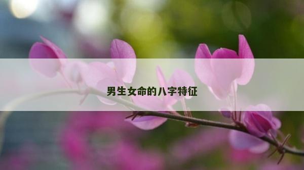 男生女命的八字特征 男生女命的八字特征
