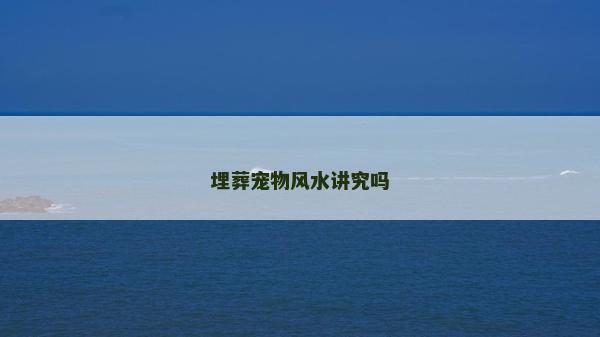 埋葬寵物風水講究嗎