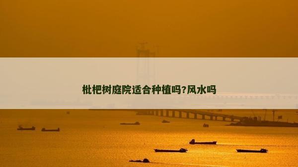 枇杷樹庭院適合種植嗎?風水嗎