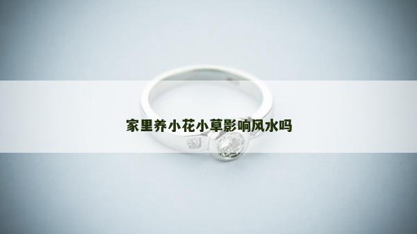 家里養小花小草影響風水嗎