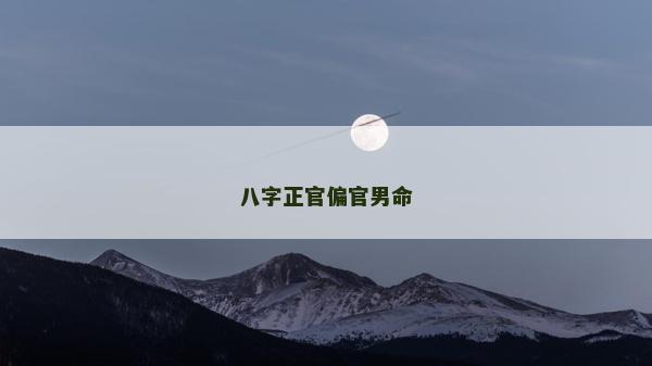 八字正官偏官男命
