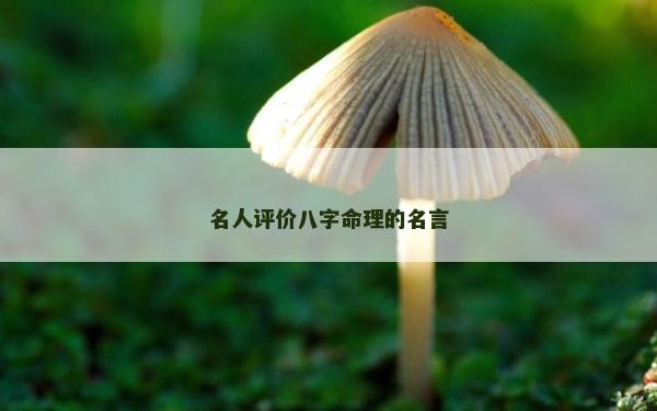 名人評價八字命理的名言