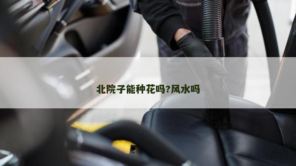 北院子能種花嗎?風水嗎