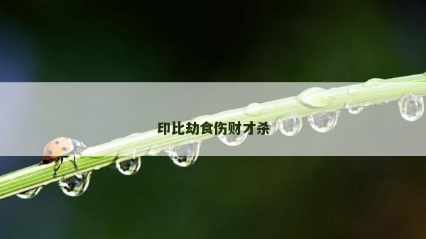 印比劫食傷財才殺