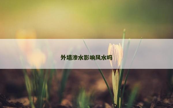 外墻滲水影響風水嗎