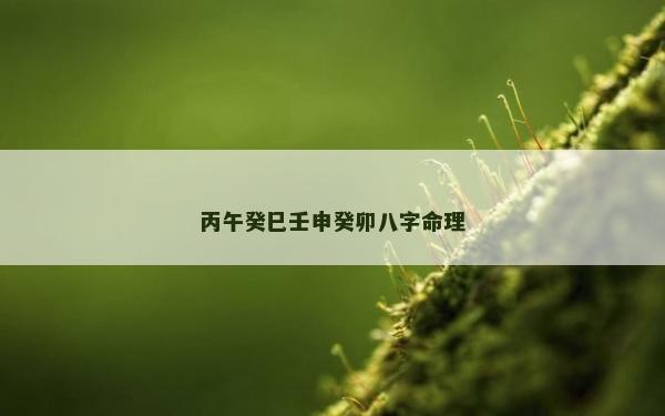 丙午癸巳壬申癸卯八字命理