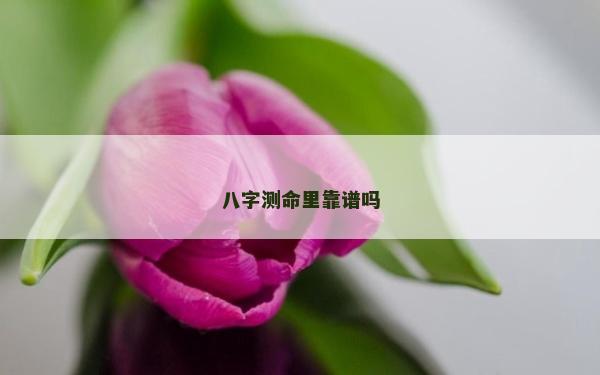 八字測命里靠譜嗎