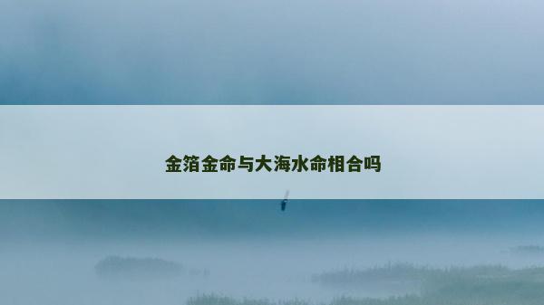 金箔金命與大海水命相合嗎