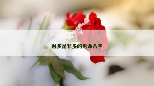 財多是非多的男命八字 財多是非多的男命八字